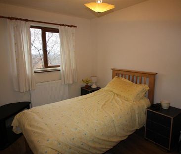 3 bedroom duplex to rent - Photo 6