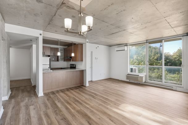 250 Boul. Maisonneuve, #903 - Photo 1