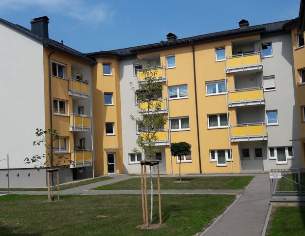Loosdorf, 3 Zimmer, 74 m² / 01720 00117 - Photo 1