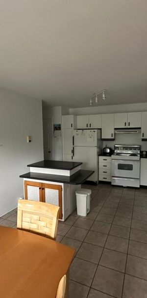 4 1/2 nord jacques cartier - Photo 1