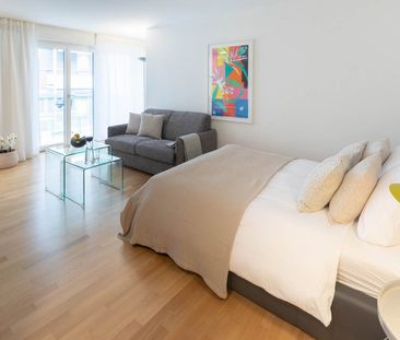 Sonniges, möbliertes Studio mit Balkon an der Rotachstrasse in Zürich Wiedikon - Photo 2