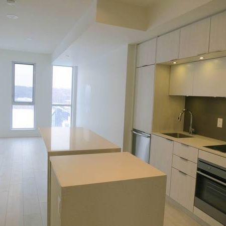 Downtown Spacious Condo Bachelor For Rent - Photo 1