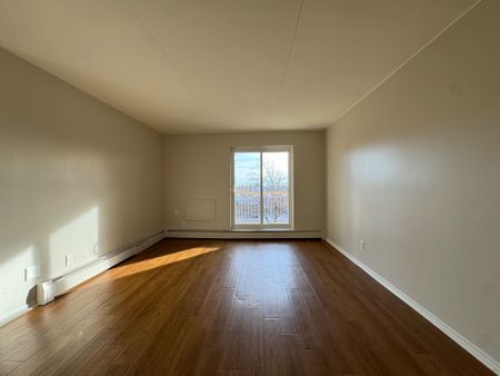 For Lease - 38 Arran Drive Unit# 314, St. Catharines, Ontario - Photo 4