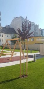 Kleine Wohnung im Zentrum von Linz - Foto 4
