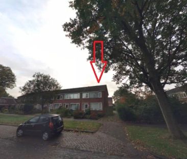 Maison d'angle Rijnstraat 51, Assen - À Louer - Photo 1