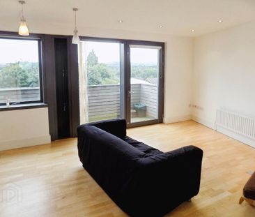 53 Manor House, Longstone Street, Lisburn, BT28 1DD - Photo 5