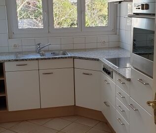 Appartement lumineux de 2 pièces dans un endroit calme sur le Höngg... - Foto 4