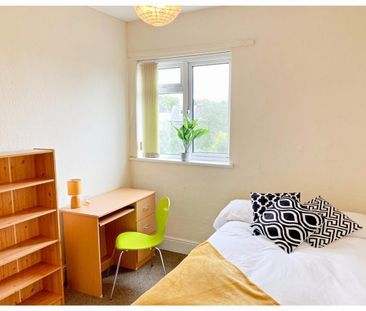 28 Clementson Road, Crookes, Sheffield, S10 1GS - Photo 4