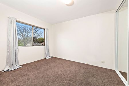 Beautifully Updated Apartment &ast;&ast; Available 24&sol;10&sol;24 &ast;&ast; - Photo 5