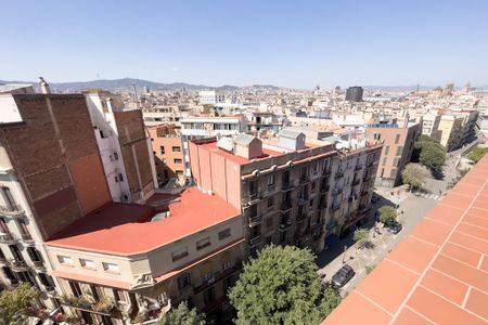 Carrer de Sant Pau, Barcelona, Catalonia 08001 - Photo 4