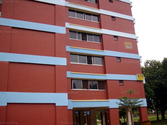 Blk 975 Jurong West Street 93 (Jurong West), HDB 4 Rooms - For Rent - Photo 1