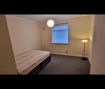 Room in a Shared Flat, Hove, BN3 - Photo 4