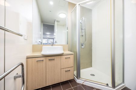 Sun-filled Apartment - Photo 4