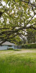 5-Bedroom House for Rent in Nanaimo - Photo 3