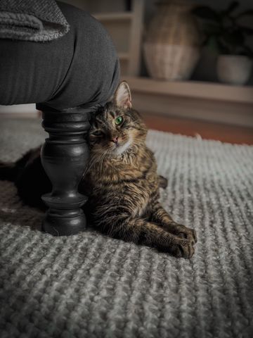 Box Hill North - Photo 4