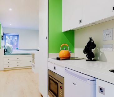 Medium Studio - Photo 3