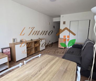 Location Appartement 1 pièce 22m² LE PEAGE DE ROUSSILLON 38550 - Photo 4