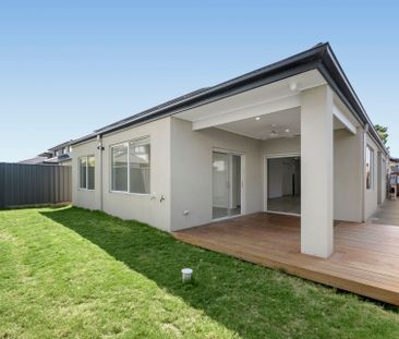 Light-Filled Design with Alfresco Entertaining and WIRs Throughout - Photo 1