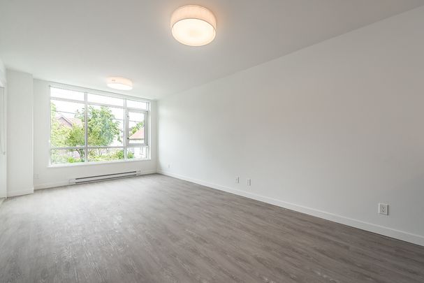 1008 Pandora Avenue, Victoria - Photo 1