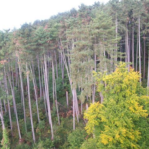 Location Appartement 2 pièces 43m² LE CREUSOT 71200 - Photo 1