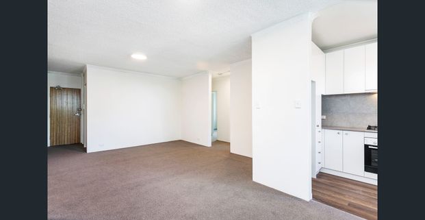 Freshly renovated 3 bedroom in Glebe - Photo 1