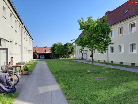 Tolle Singlewohnung: geräumiger und praktischer Grundriss mit neuem modernen Badezimmer! Ab sofort beziehbar! Unbefristet und provisionsfrei! - Photo 2