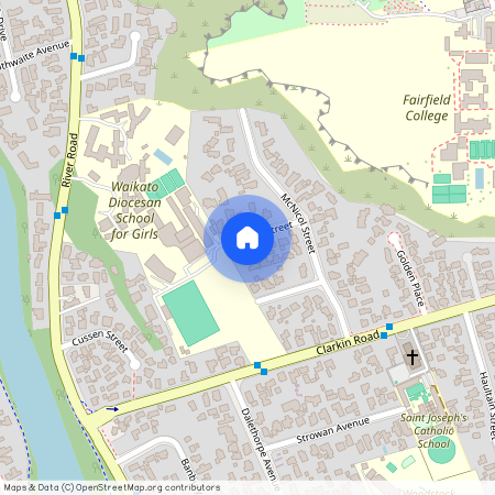 7 Martin Road, Fairfield, Hamilton City