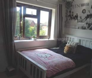 3 bedroom property to rent in St Neots - Photo 5