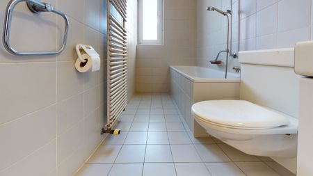 LUMINOSO 3 LOCALI A MASSAGNO - Foto 2