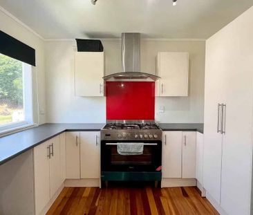 Elevated on Ewenson! - Photo 3