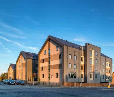 Premium Plus Studio - Photo 2