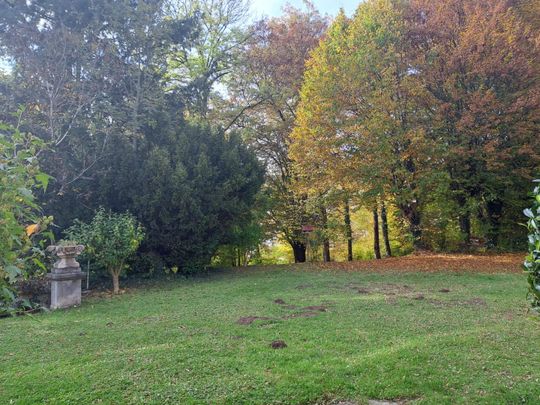 Mietwohnung in einer Altbauvilla bei Mariatrost - Photo 1