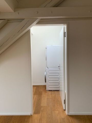 Beautiful attic apartment is looking for you - Photo 4