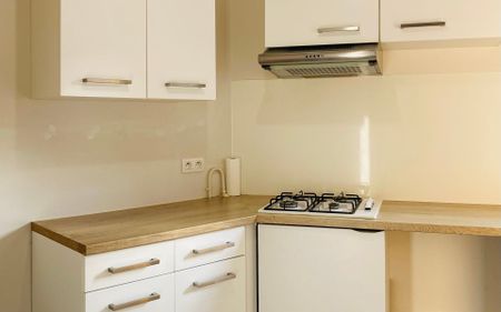 Appartement à louer 3 pièces • 69,01 m2 Saint-Étienne-de-Crossey - Photo 3