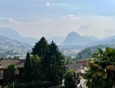 3.5 Zimmer, 75 m² - Foto 3