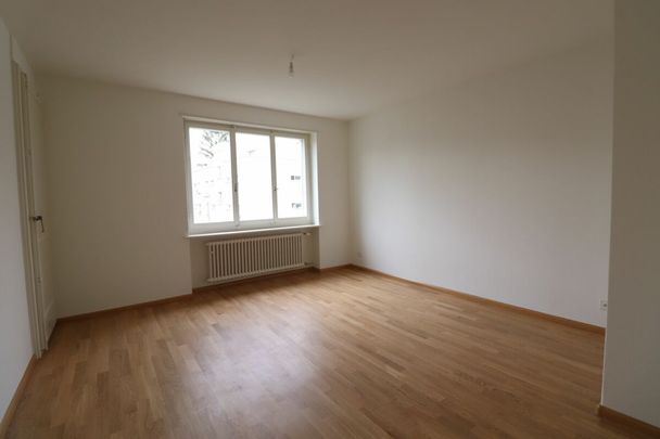 Erstvermietung nach Teilsanierung - gemütliche 3-Zimmerwohnung in Reinach - Foto 1