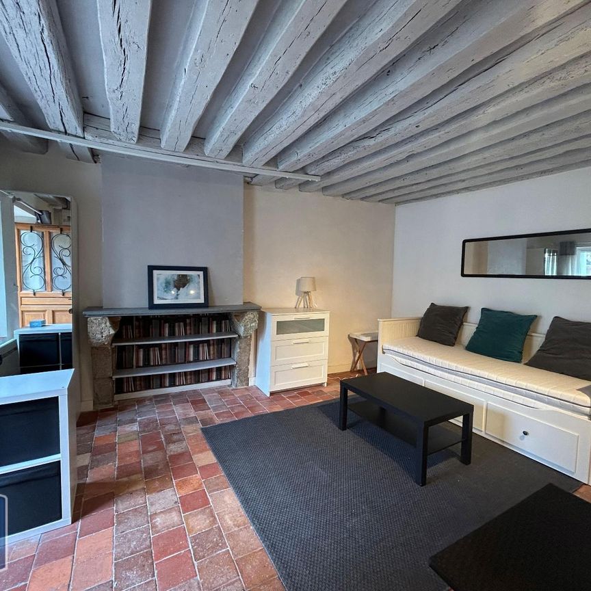 Location Appartement 1 pièce 25m² BLOIS 41000 - Photo 1