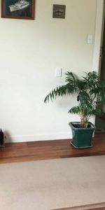 Cute Cottage - Photo 4