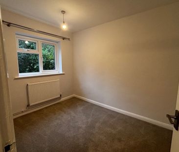 Carrington Place - Photo 4