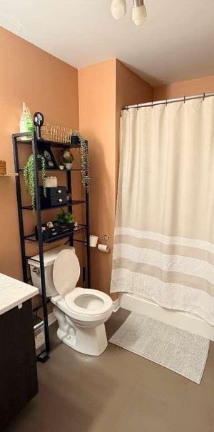 Appartement d'une chambre disponible pour le 1er août - Photo 1