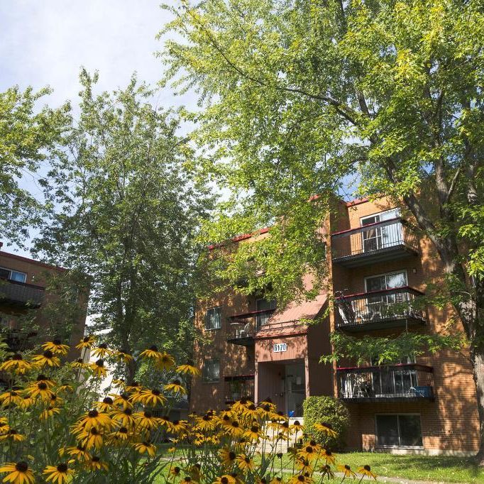 2 1/2 - Charny - Tout inclus - libre immédiatement - Photo 1