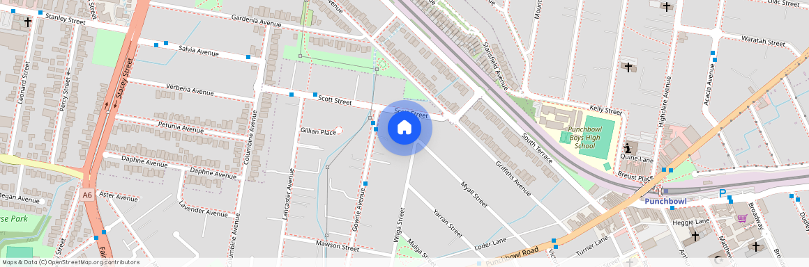 9 Wilga Street, NSW 2196, Punchbowl