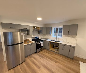 Brand New Ground Level Suite - Photo 4