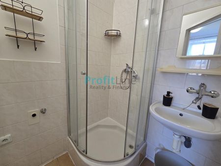 Pronájem bytu 1+1 40 m2 - Fotografie 5