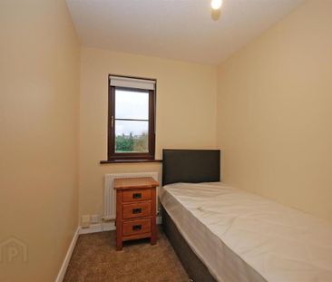 32 Whitehall Mews, Ormeau Road, Belfast, BT7 3GE - Photo 6