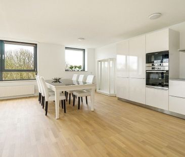 Fluweelboomlaan - foto 4