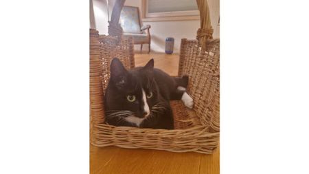 5 Zimmer, 135 m² - Foto 5