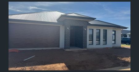 Brand New 4 Bedroom and 2 Bathroom House for Rent in Riverlea Park - Photo 3