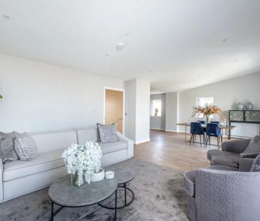 3 bedroom penthouse to rent - Photo 4