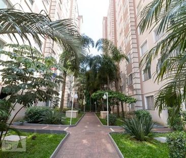 Apartamento Reformado para Locação no Cidade Maia – 2 Dormitórios, ... - Photo 4